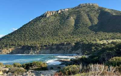 Wycieczka Marathon Jeep Safari - Narodowy Park Akamas z Pissouri